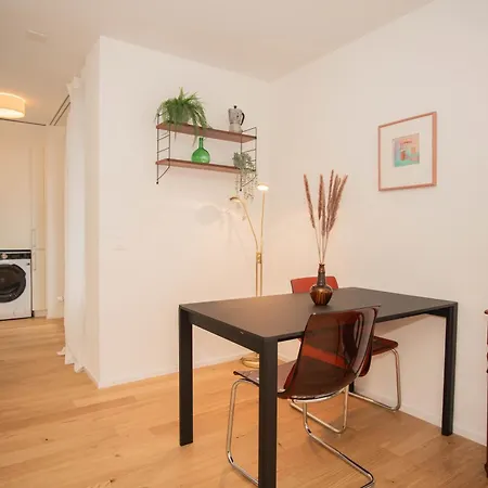 Floor With Terrace And Free Baselcard Apartment Basel