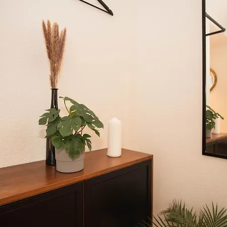 Apartment Floor With Terrace And Free Baselcard